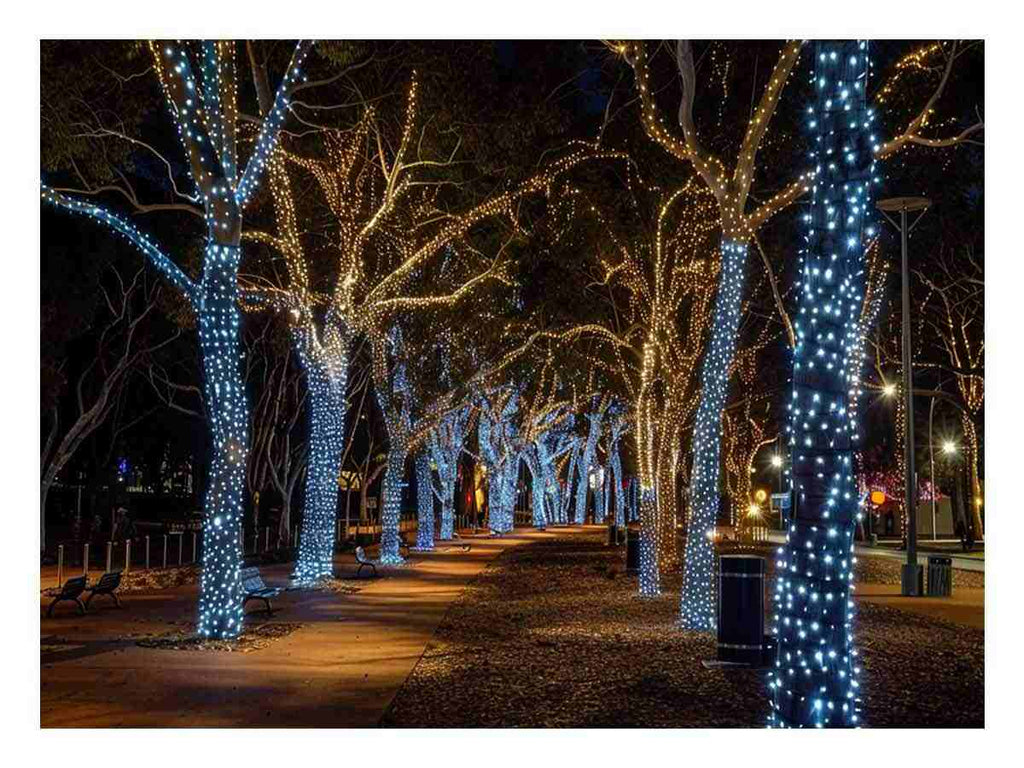 Lights  Canvas Art Print